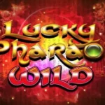 lucky pharaoh wild